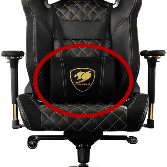 ARMOR TITAN PRO ROYAL LUMBAR PILLOW