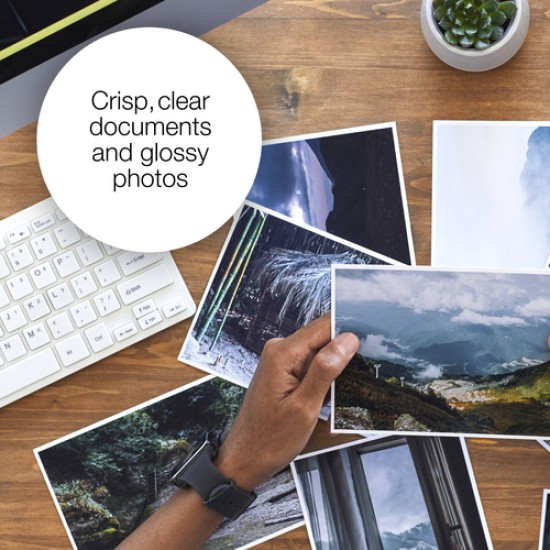 Epson Polar bear 26 Claria Premium Multipack 4-colours Ink