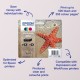 Epson Singlepack Black 603 Ink
