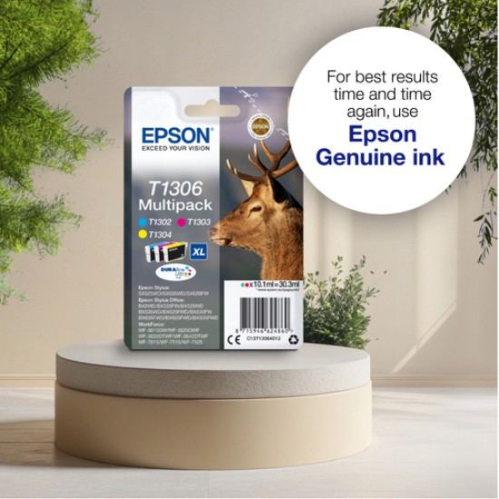 Epson Stag T1301 DURABrite Ultra Single Black Ink
