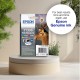 Epson Stag T1301 DURABrite Ultra Single Black Ink