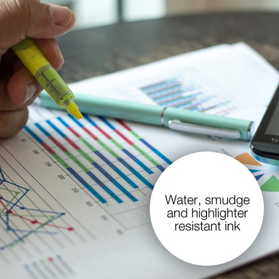 Epson Apple T1291 DURABrite Ultra Single Black Ink