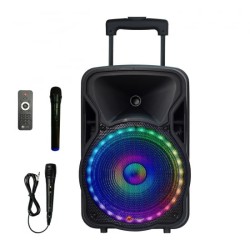 N-GEAR PORTABLE SPEAKER FLASH 1205 12" LED 1205-0077 N-GEAR PORTABLE SPEAKER FLASH 1205 12" LED 1205-0077